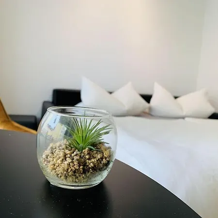 Sea Air Modern Retreat