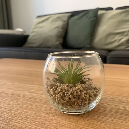 Casa vacanze Sea Air Modern Retreat Wangerooge